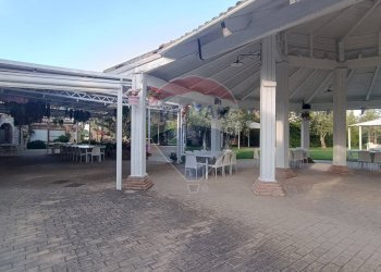 Terrazza - Agriturismo Contrada Carpine
 
SNC, Bovino - foto 9