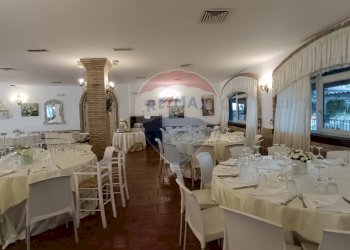 Sala da pranzo - Agriturismo Contrada Carpine
 
SNC, Bovino - foto 15