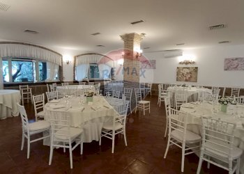 Sala da pranzo - Agriturismo Contrada Carpine
 
SNC, Bovino - foto 17