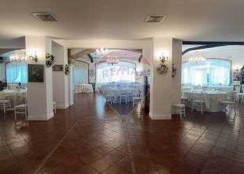 Sala da pranzo - Agriturismo Contrada Carpine
 
SNC, Bovino - foto 18