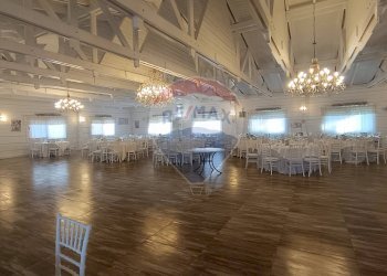 Palestra - Agriturismo Contrada Carpine
 
SNC, Bovino - foto 24