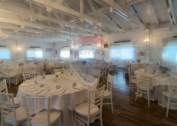 Sala da pranzo - Agriturismo Contrada Carpine
 
SNC, Bovino - foto 26