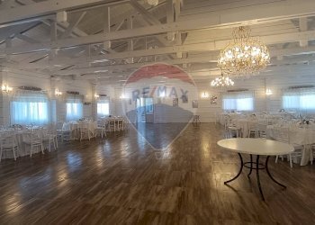 Sala da pranzo - Agriturismo Contrada Carpine
 
SNC, Bovino - foto 27