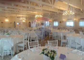 Sala da pranzo - Agriturismo Contrada Carpine
 
SNC, Bovino - foto 29