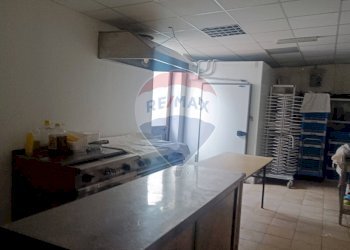 Cucina - Agriturismo Contrada Carpine
 
SNC, Bovino - foto 31