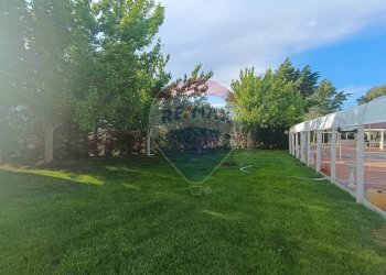 Giardino - Agriturismo Contrada Carpine
 
SNC, Bovino - foto 34