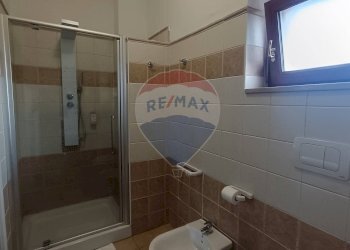 Bagno - Agriturismo Contrada Carpine
 
SNC, Bovino - foto 38