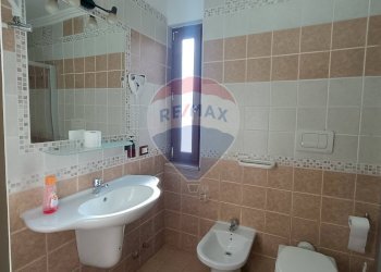 Bagno - Agriturismo Contrada Carpine
 
SNC, Bovino - foto 47