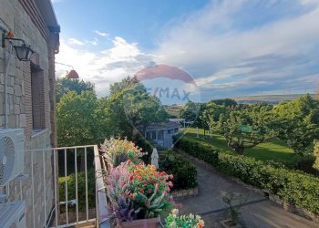 Balcone - Agriturismo Contrada Carpine
 
SNC, Bovino - foto 55