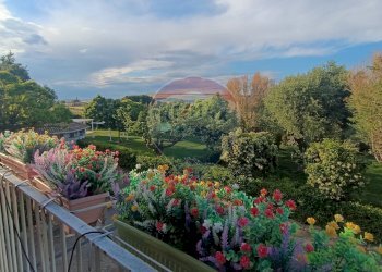 Giardino - Agriturismo Contrada Carpine
 
SNC, Bovino - foto 56