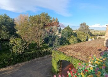 Non correlato - Agriturismo Contrada Carpine
 
SNC, Bovino - foto 57