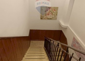 Scale - Agriturismo Contrada Carpine
 
SNC, Bovino - foto 62