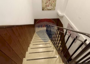 Scale - Agriturismo Contrada Carpine
 
SNC, Bovino - foto 63