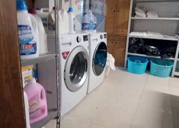 Lavanderia - Agriturismo Contrada Carpine
 
SNC, Bovino - foto 65