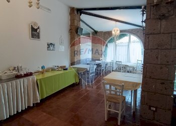 Sala da pranzo - Agriturismo Contrada Carpine
 
SNC, Bovino - foto 66