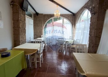 Sala da pranzo - Agriturismo Contrada Carpine
 
SNC, Bovino - foto 67