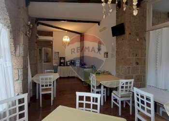 Sala da pranzo - Agriturismo Contrada Carpine
 
SNC, Bovino - foto 68