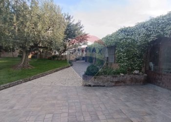 Terrazza - Agriturismo Contrada Carpine
 
SNC, Bovino - foto 69