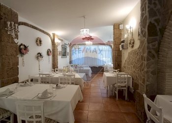 Sala da pranzo - Agriturismo Contrada Carpine
 
SNC, Bovino - foto 71