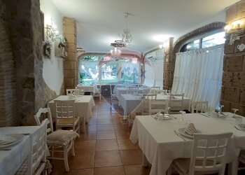 Sala da pranzo - Agriturismo Contrada Carpine
 
SNC, Bovino - foto 72