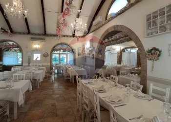 Sala da pranzo - Agriturismo Contrada Carpine
 
SNC, Bovino - foto 74