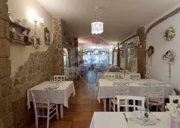 Sala da pranzo - Agriturismo Contrada Carpine
 
SNC, Bovino - foto 76