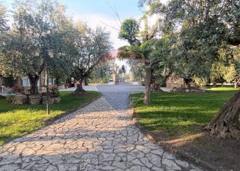 Giardino - Agriturismo Contrada Carpine
 
SNC, Bovino - foto 80