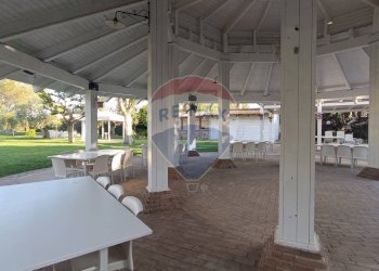 Terrazza - Agriturismo Contrada Carpine
 
SNC, Bovino - foto 84