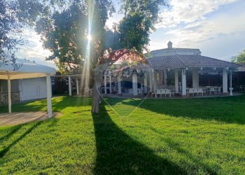 Giardino - Agriturismo Contrada Carpine
 
SNC, Bovino - foto 87