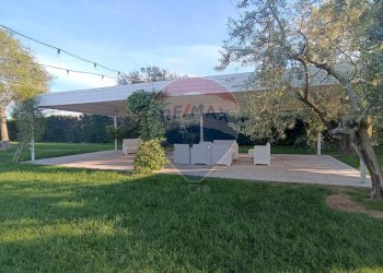 Giardino - Agriturismo Contrada Carpine
 
SNC, Bovino - foto 88