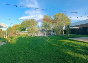 Giardino - Agriturismo Contrada Carpine
 
SNC, Bovino - foto 89