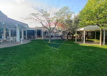 Giardino - Agriturismo Contrada Carpine
 
SNC, Bovino - foto 90