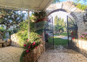 Giardino - Agriturismo Contrada Carpine
 
SNC, Bovino - foto 94