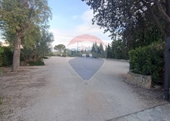 Edificio all\'aperto - Agriturismo Contrada Carpine
 
SNC, Bovino - foto 95