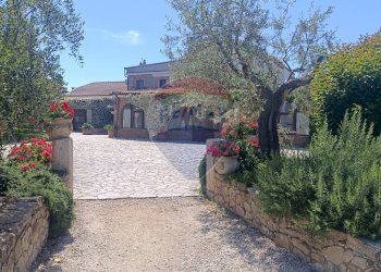 Casa all\'aperto - Agriturismo Contrada Carpine
 
SNC, Bovino - foto 97