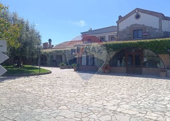 Edificio all\'aperto - Agriturismo Contrada Carpine
 
SNC, Bovino - foto 98