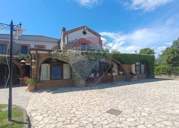 Casa all\'aperto - Agriturismo Contrada Carpine
 
SNC, Bovino - foto 99