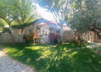 Giardino - Agriturismo Contrada Carpine
 
SNC, Bovino - foto 101