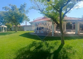 Giardino - Agriturismo Contrada Carpine
 
SNC, Bovino - foto 102