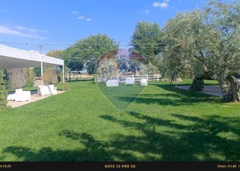 Giardino - Agriturismo Contrada Carpine
 
SNC, Bovino - foto 104