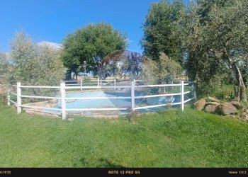 Giardino - Agriturismo Contrada Carpine
 
SNC, Bovino - foto 107