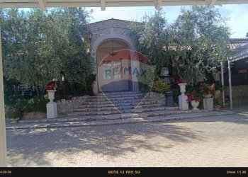 Casa all\'aperto - Agriturismo Contrada Carpine
 
SNC, Bovino - foto 108