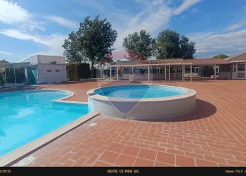 Piscina - Agriturismo Contrada Carpine
 
SNC, Bovino - foto 114