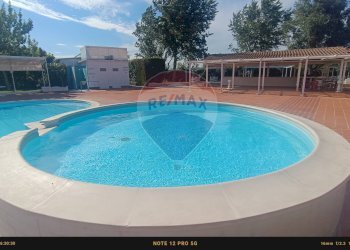 Piscina - Agriturismo Contrada Carpine
 
SNC, Bovino - foto 115