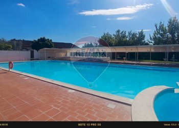 Piscina - Agriturismo Contrada Carpine
 
SNC, Bovino - foto 116