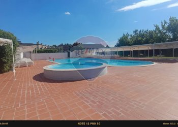 Piscina - Agriturismo Contrada Carpine
 
SNC, Bovino - foto 117