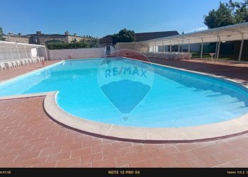 Piscina - Agriturismo Contrada Carpine
 
SNC, Bovino - foto 118