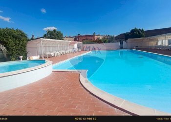 Piscina - Agriturismo Contrada Carpine
 
SNC, Bovino - foto 119