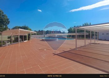 Terrazza - Agriturismo Contrada Carpine
 
SNC, Bovino - foto 120