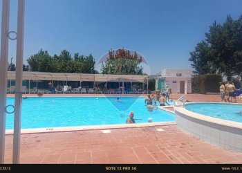 Piscina - Agriturismo Contrada Carpine
 
SNC, Bovino - foto 122